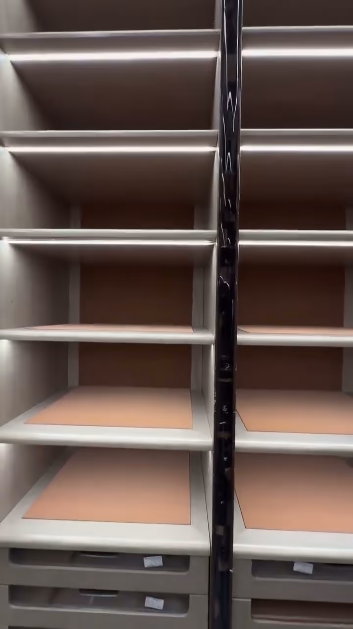 Floor-to-Ceiling Luxury Wardrobes — preview